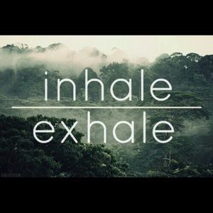 Meet your Posher, Ginger